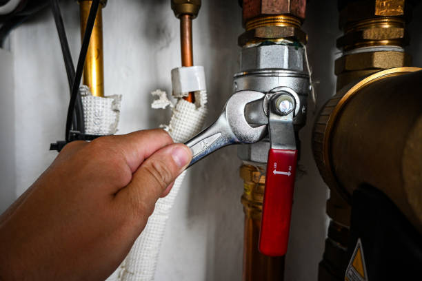 Best Commercial Plumbing Services  in Tice, FL